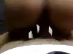 परिपक्व पुरानी कुतिय ...