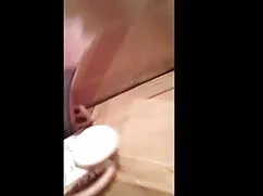 शानदार सह शॉट फुल से ...