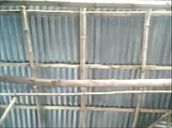गुदा फ़ाइबर - ब्लू प ...