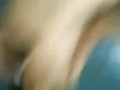 हॉर्नीटेक्सी युवा छा ...
