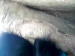 सींग का बना लैटिना ब ...