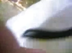 कमबख्त मेरी गर्म झाड ...