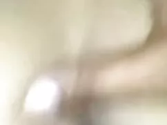 फालारा एक काला मुर्ग ...