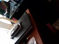 हेर्मैफ्रोडाइट जैजमि ...