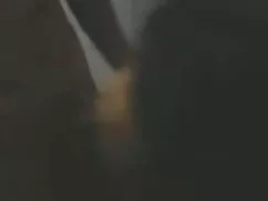 श्यामला हिंदी बीएफ फ ...