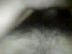 इन्वेंटारपफ्लेज़ सेक ...