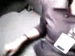 असली यूरोपीय नौसिखिय ...