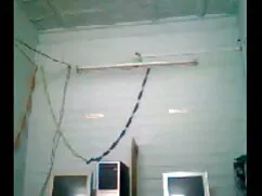 तेजस्वी गर्म सुनहरे  ...