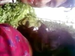 बड़ा गधा केली फुल एच ...