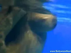 खिलौना BBW 370 हिंदी ...