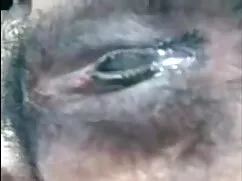 मेरा स्ट्रैपआन तेरी  ...