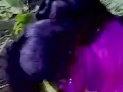 ब्लौंडी बीएफ सेक्सी  ...