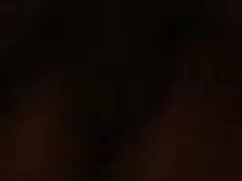 मोज़ा में बार में इं ...