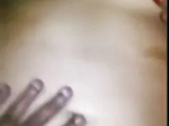 Sativa गुलाब - बीएफ  ...