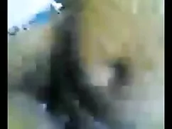 एशियाई स्वर्ग 47 हिं ...