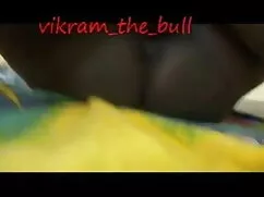 व्हिस्की इन द ग्लासस ...