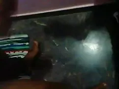 Kaciee सेक्स फुल हिं ...