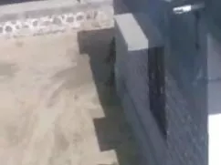 लंबे बालों वाली सेक् ...