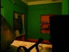 कैट - एक पट्टा के सा ...