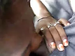 संकलन वॉल्यूम सेक्सी ...