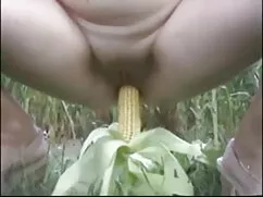 नीचे हिंदी मूवी फुल  ...