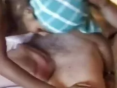 लैक्टमानिजा - फुल से ...